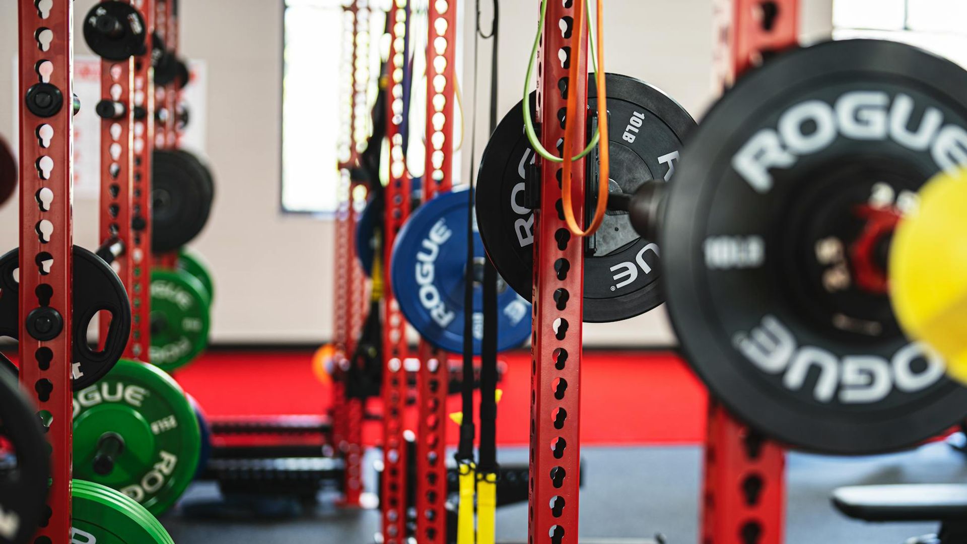 Dark professional gym interior with weights and neon accents.